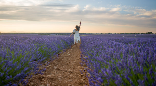 provence