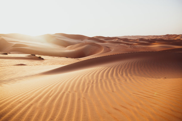 dune