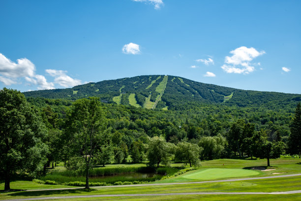 vt