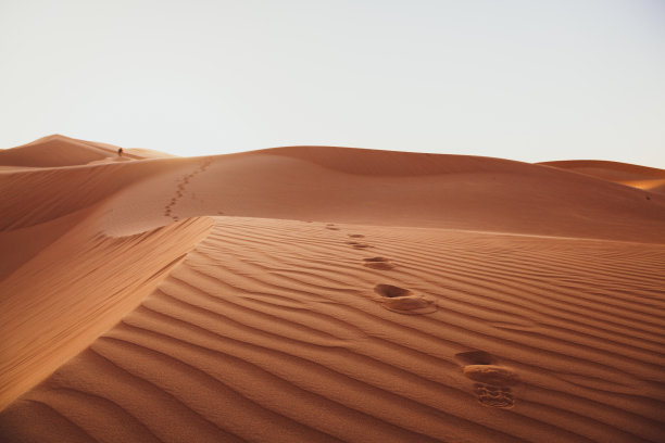 dune