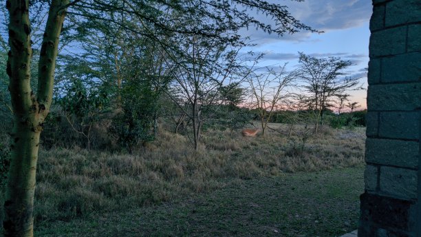nanyuki