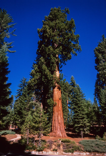 1995