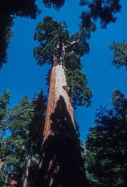 1995