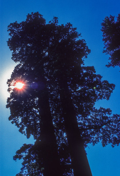 1995