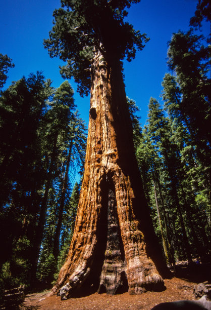 1995