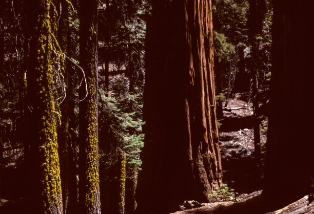 1995