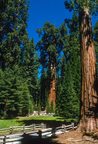 1995
