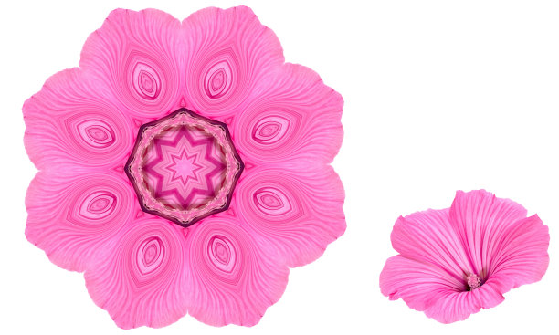 精美对称圆形花纹图案