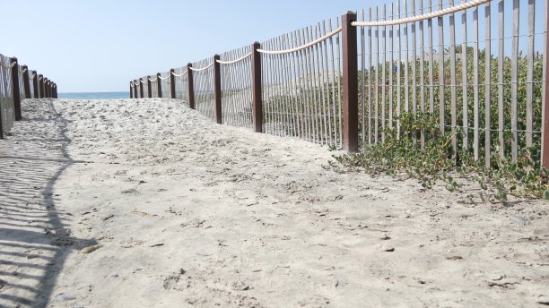 beach-access