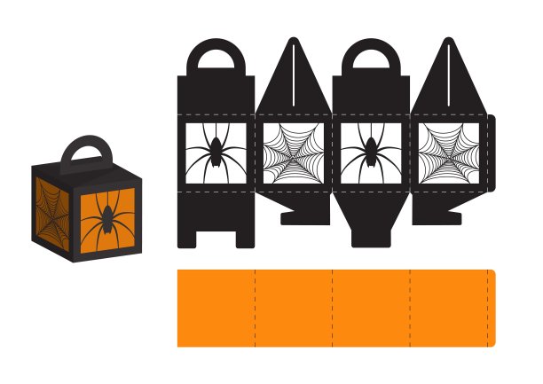 spider