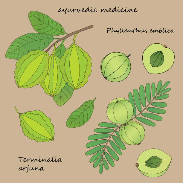 ayurveda