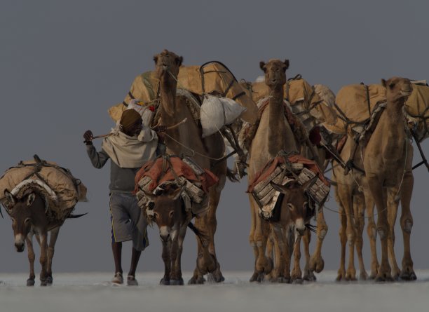 convoy
