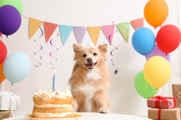 birthday