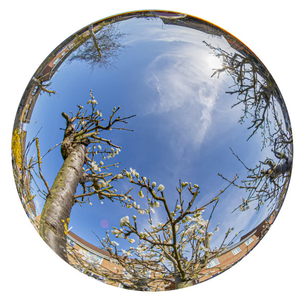 hemisphere