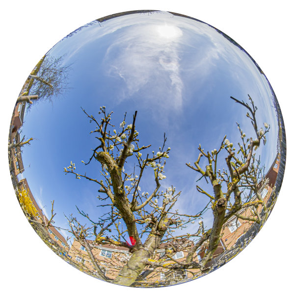 hemisphere