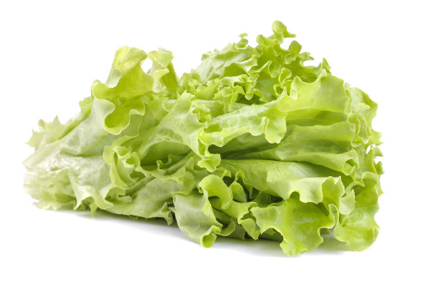 romaine