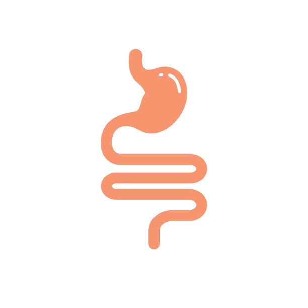 digestion