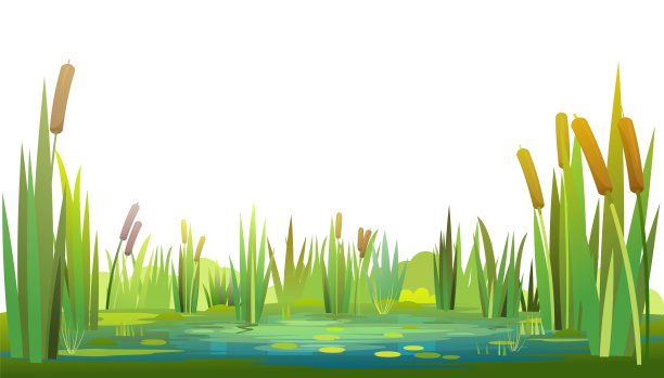 wetland
