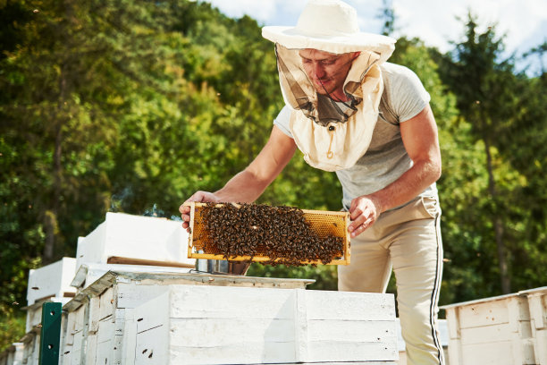 beekeeper