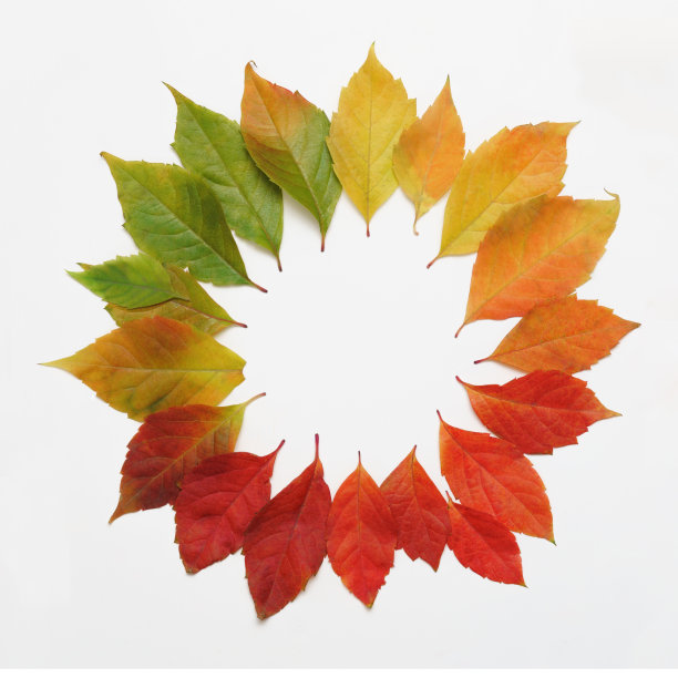 绿黄渐变圆形抽象花纹图案