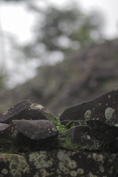 monolith