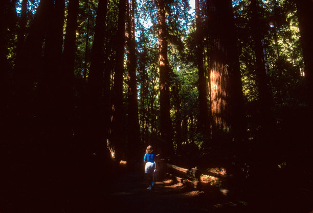 1995