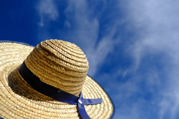 bonnet