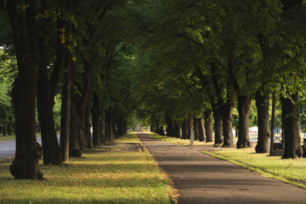 avenue