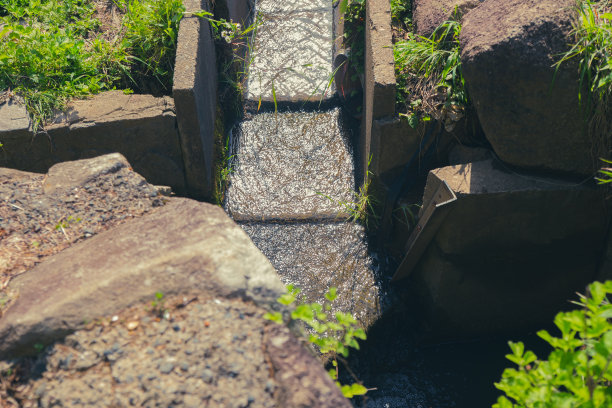 ditch