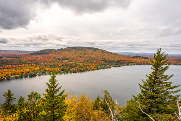 vt