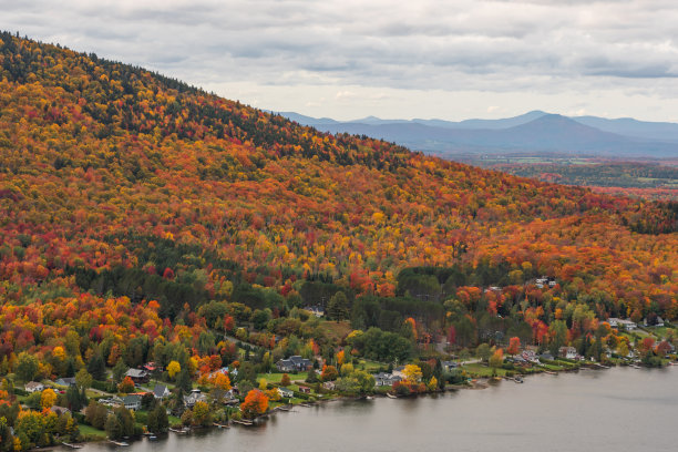 vt