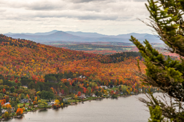 vt