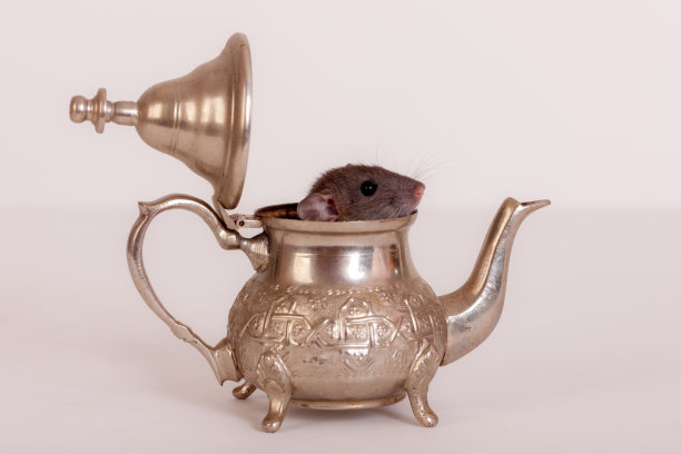 一只茶壶