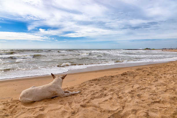 negombo