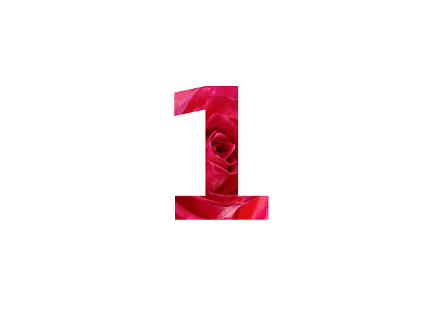 no1logo