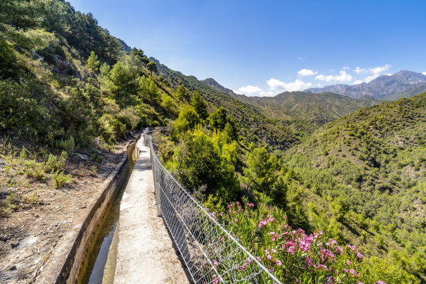 ditch
