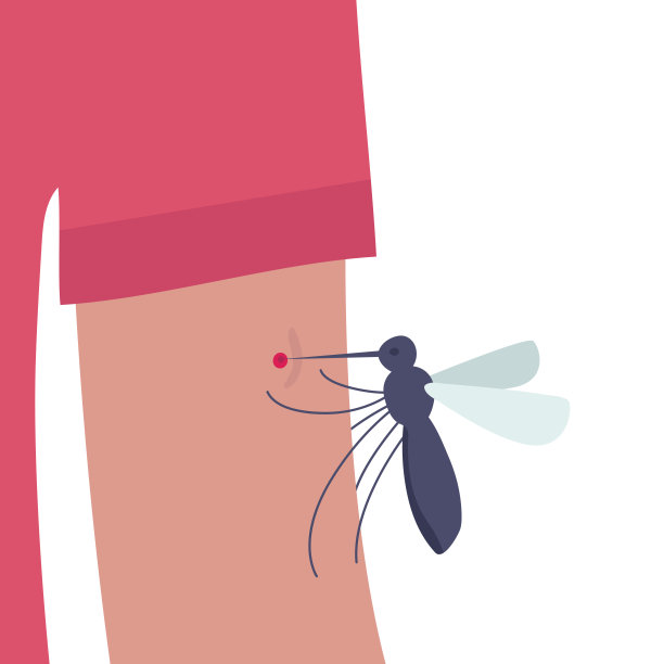 mosquito
