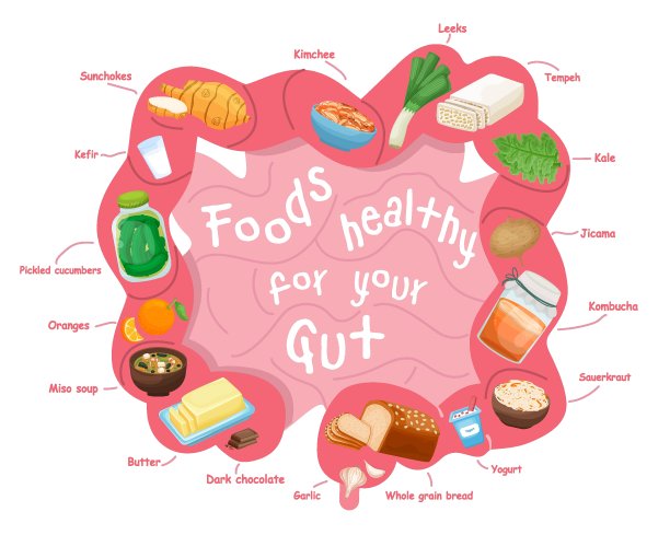 digestion