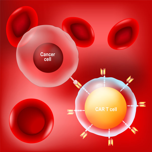 cd4