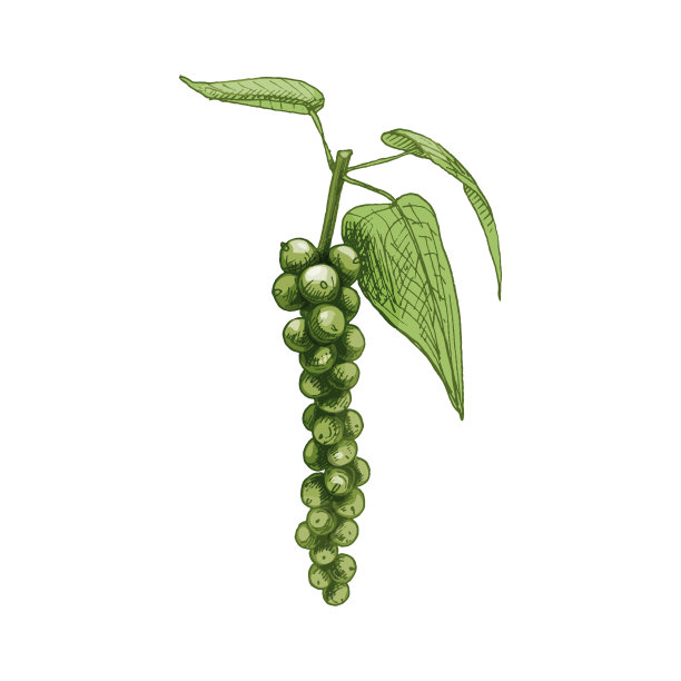 pepper