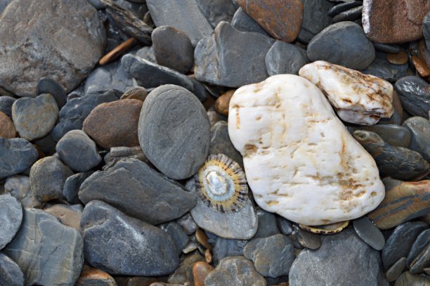 石头杂点肌理纹