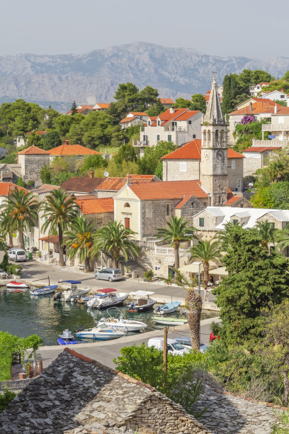 brac