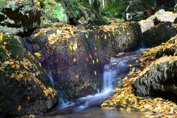 rhön