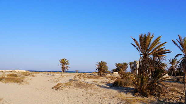 沙丘,突尼斯,地中海