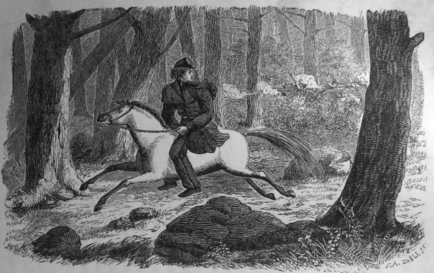 1865