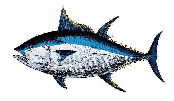 tuna