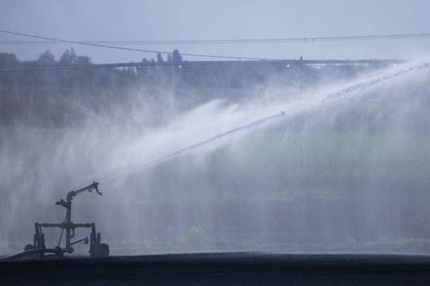 sprinkler