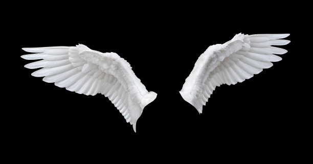wings
