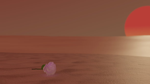 大海玫瑰倒影