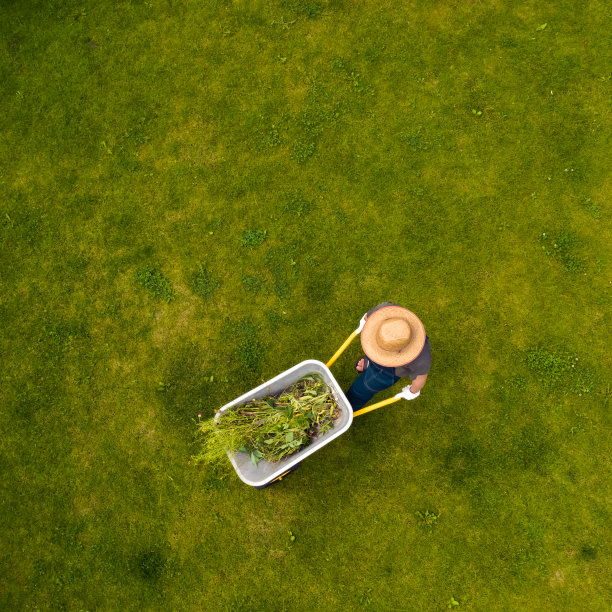 wheelbarrow